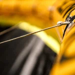 1250110_CODENXT_25X_MAIN_1800x1800.jpg